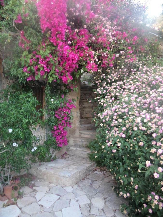 Oleander Stone House Villa Lemona Kültér fotó