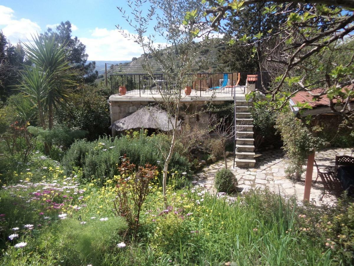 Oleander Stone House Villa Lemona Kültér fotó